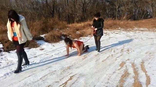 瀋陽イーグルクイーン | 雪の中でCD犬を虐待