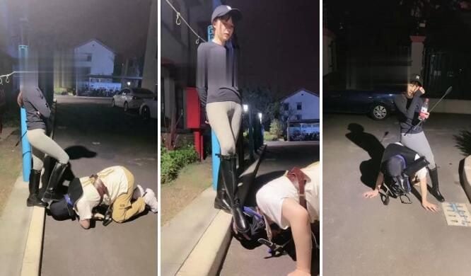 樱桃大大|户外遛狗骑马专场