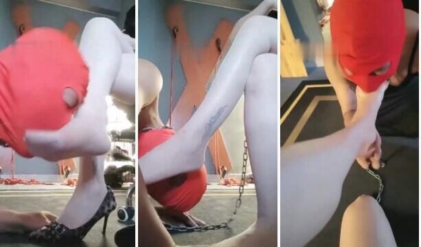 东营天香百合|奖励看家狗舔丝袜脚