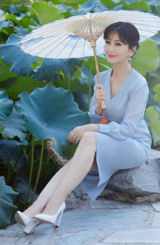 「赵雅芝|荷塘边撑伞丝袜美腿图