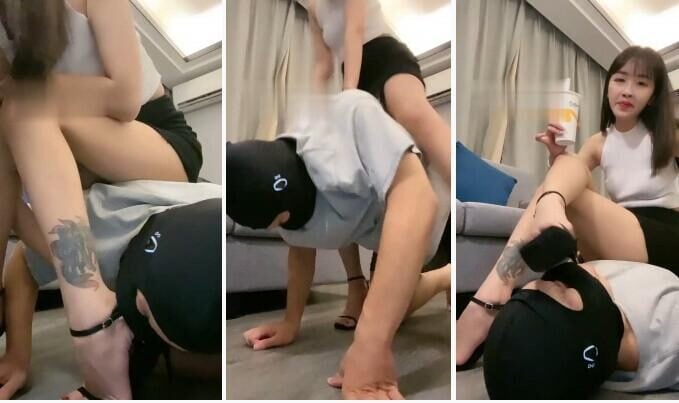 路子|强迫狗舔脏高跟鞋臭脚