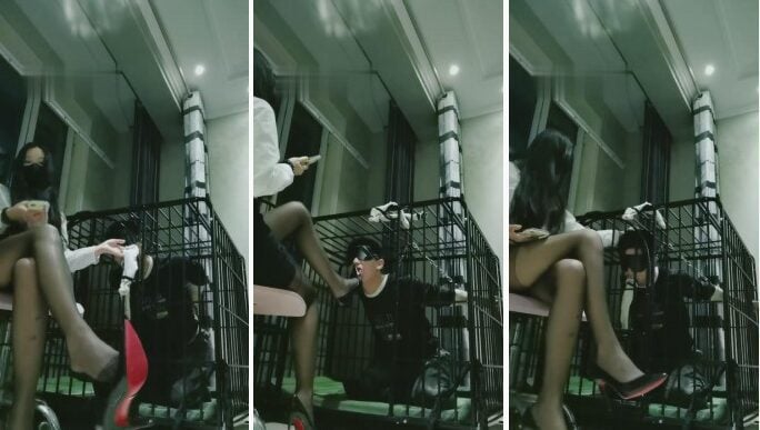猫神大人|狗笼囚禁废物狗舔女王丝足高跟