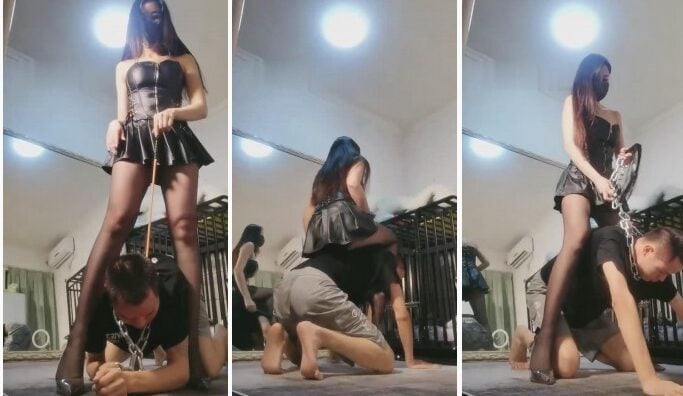 微希|黑丝女主遛狗犯贱圈养奴