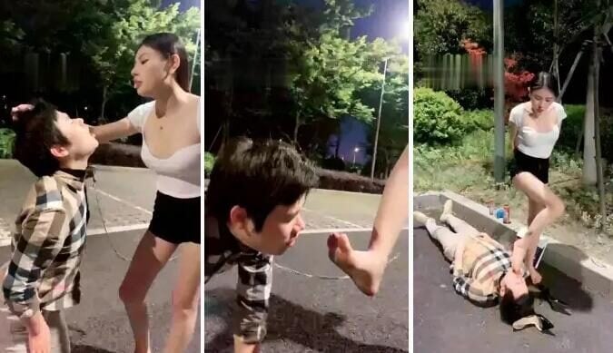 诺曦S | 醉酒户外遛狗呕吐食