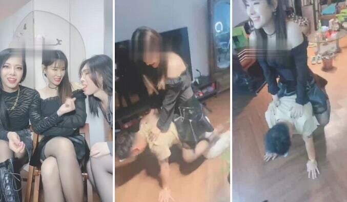 松紫 | 双子姬团队全明星阵容调狗