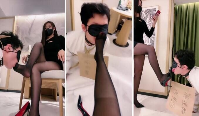 若依 | 舔狗的下场很悲惨