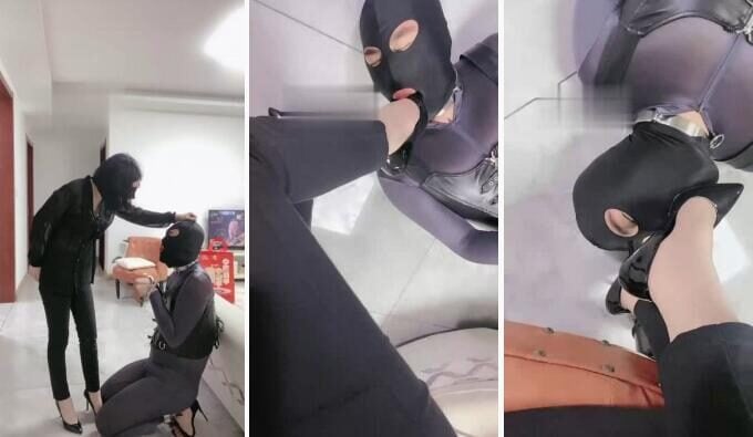 高傲 | 狗不听话就铐起来虐