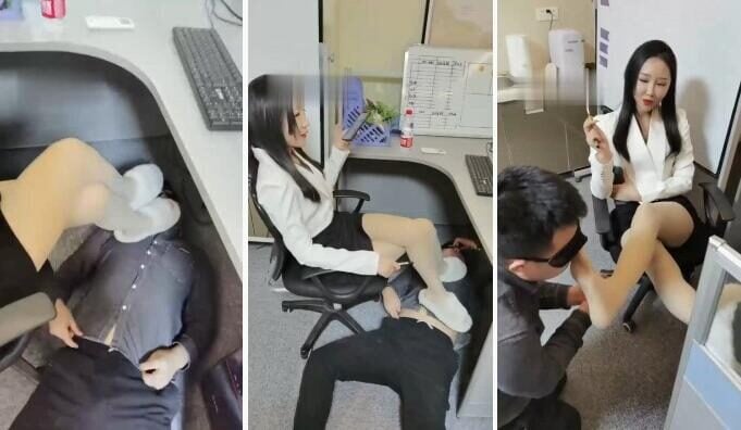 薬神 |同僚がオフィスの犬だと分かった