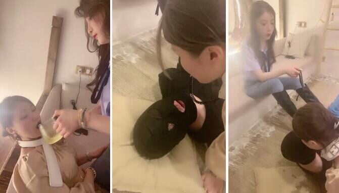 Routine live broadcast lord boss S training video replay download | let the girlfriend drink holy water to teach her to abuse the dog