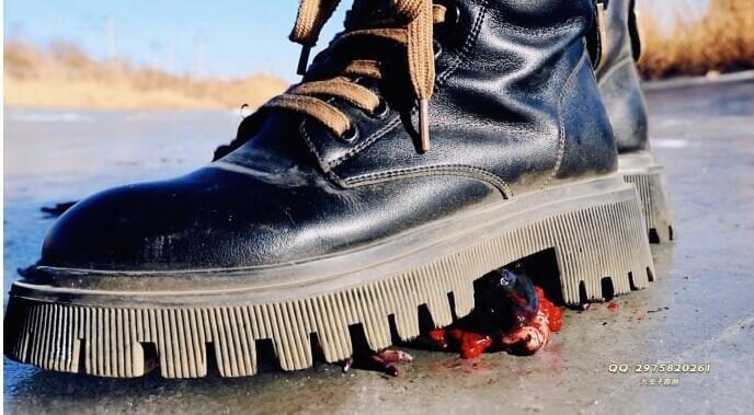 Big Bug | The village girl's cruel Martin boots crushed the bullfrog Crush to death
