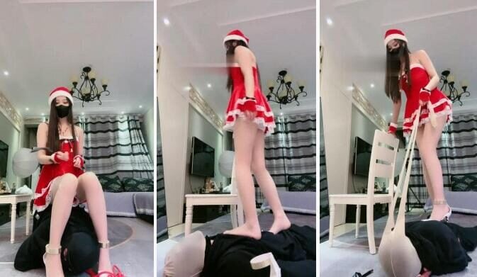 猫神大人 | 圣诞装日夜调狗奴
