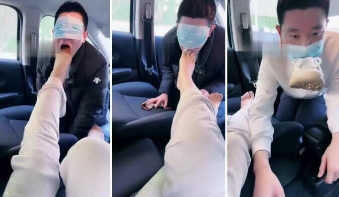 ヘモ |運転手を車内の犬に仕立て上げる