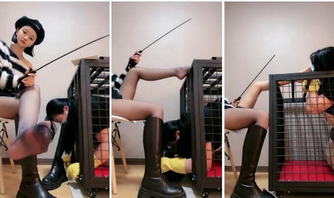 维妮 | 女仆偷懒被关狗笼惩罚