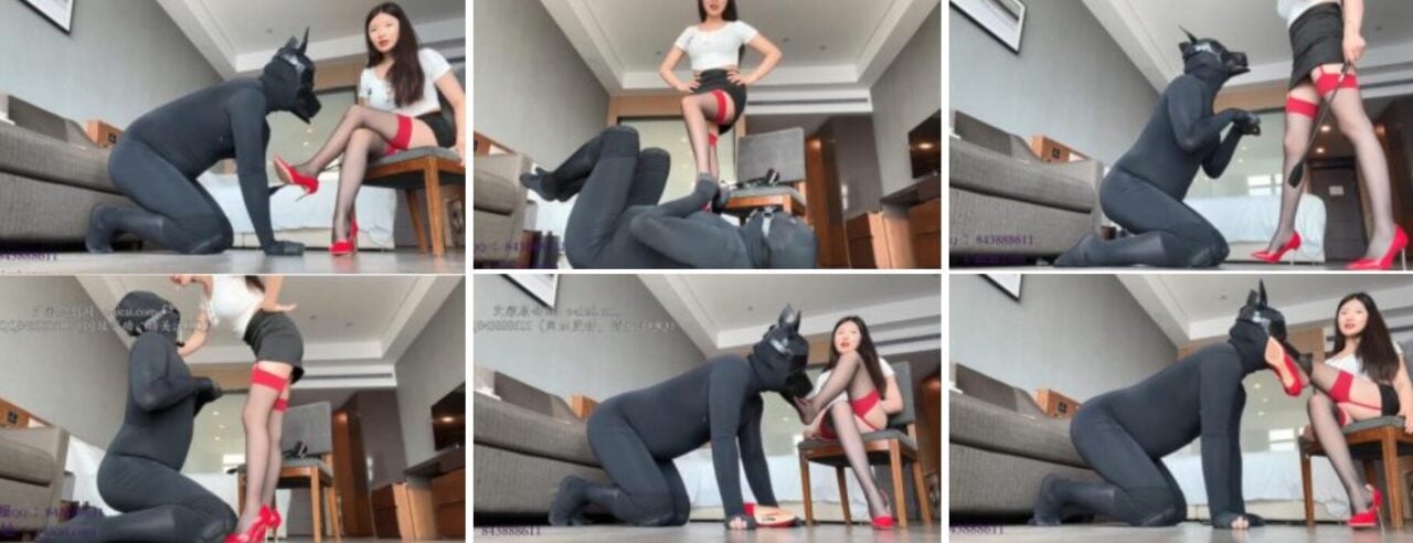Zi Chen S 限定 |女神紫塵が犬の奴隷を訓練する
