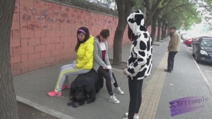 ピンシパビリオン |ヒロインは朝、近所で犬の散歩をする