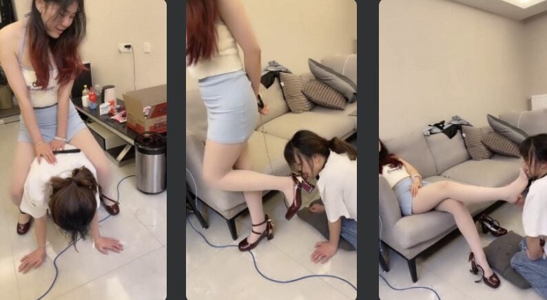 オレンジは熟していません |高校の同級生が犬に成長し、乗馬の訓練を受ける