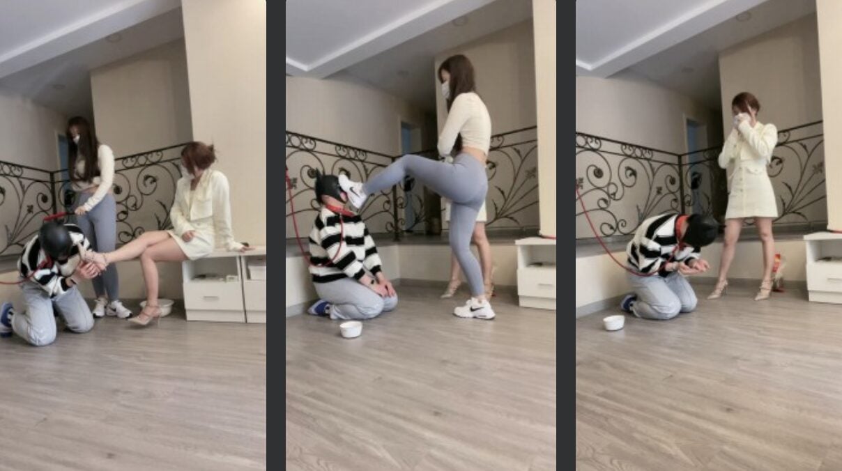 Lili Lord | Taming and Training of K9 Feeding Extreme Dogization Humiliation Dual Perspective Edition