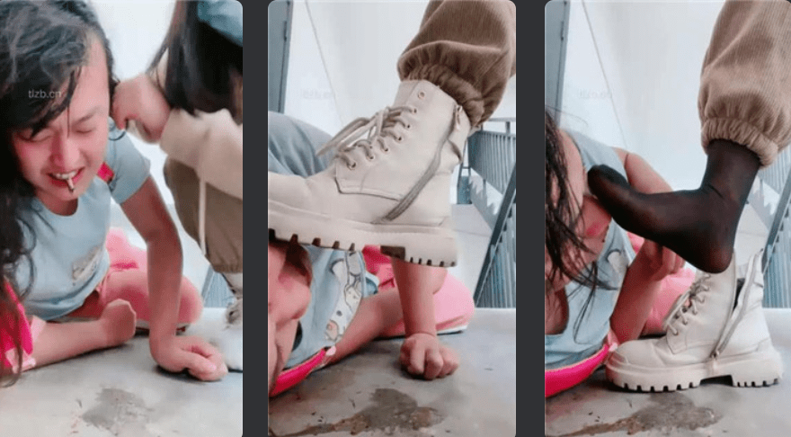 Teacher Taozi | Walking the dog on the stairwell/trampling/pulling the ears