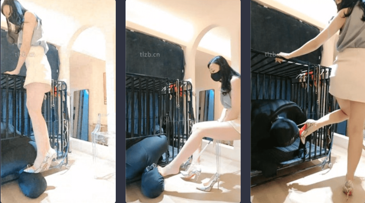 稚惜 | 车模美腿S囚禁狗笼虐