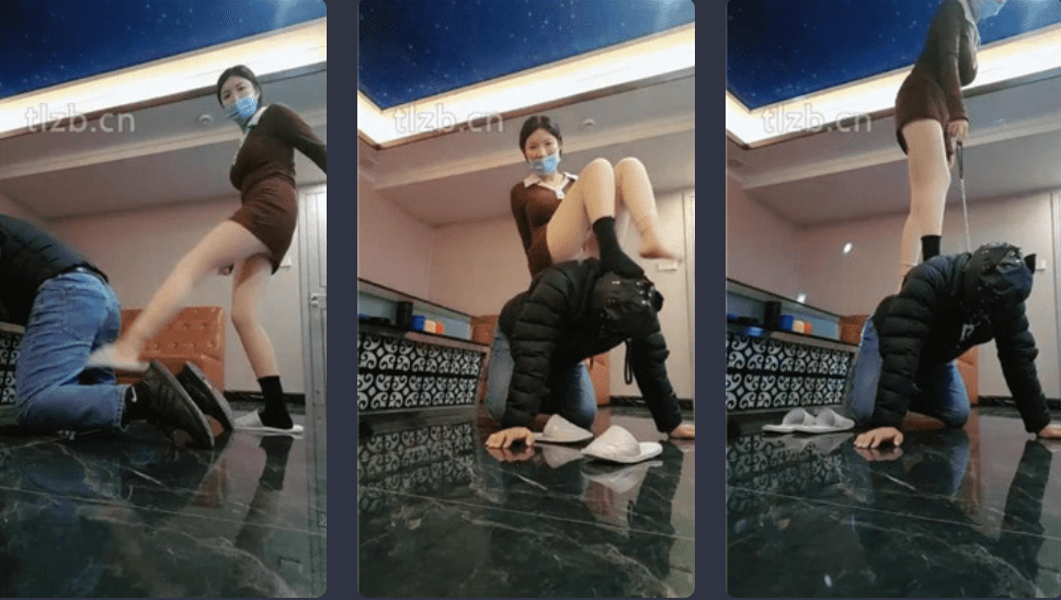 Zi Chen | Macau KTV dog abuse/riding on the neck and turning the hips/covering the face with black cotton socks/trampling/feeding saliva