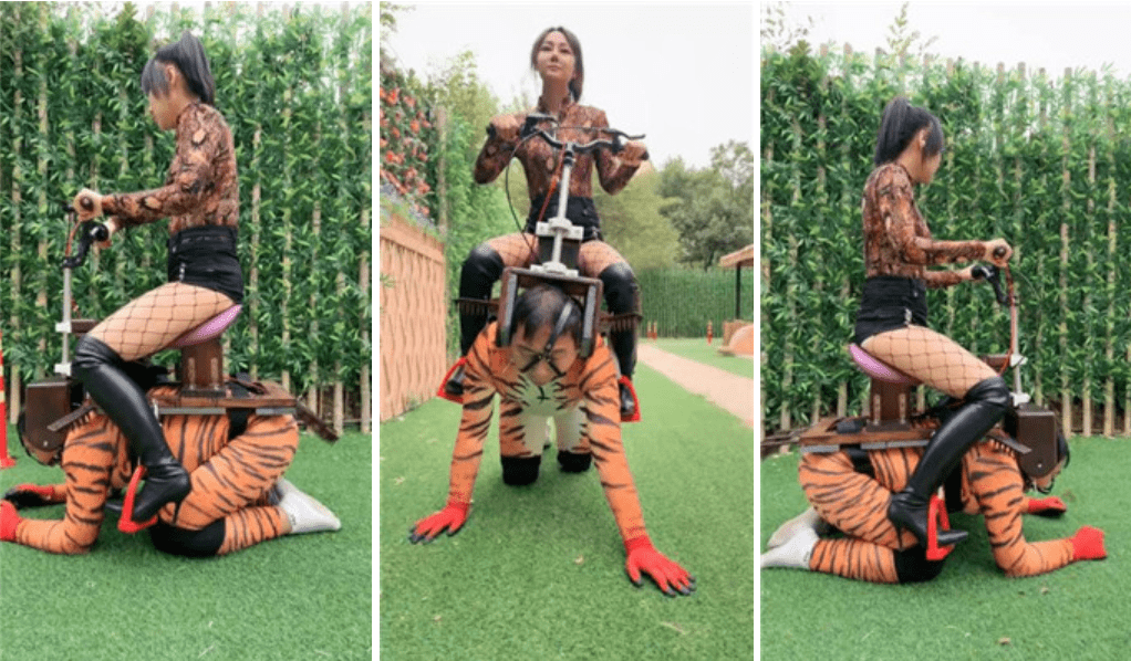 Hongyan | New horse riding equipment: Soul control
