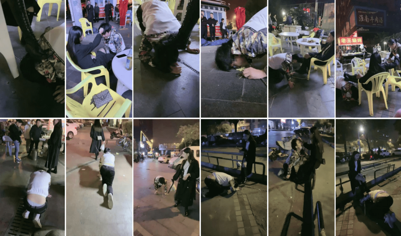 诺曦S | 热搜户外遛狗引围观当着群众语言羞辱辱骂史上最刺激-视频截图