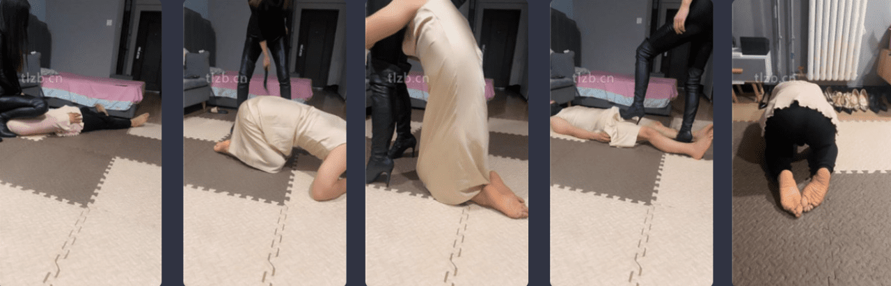 薇娅 | 圈养生活犬化训练-视频截图