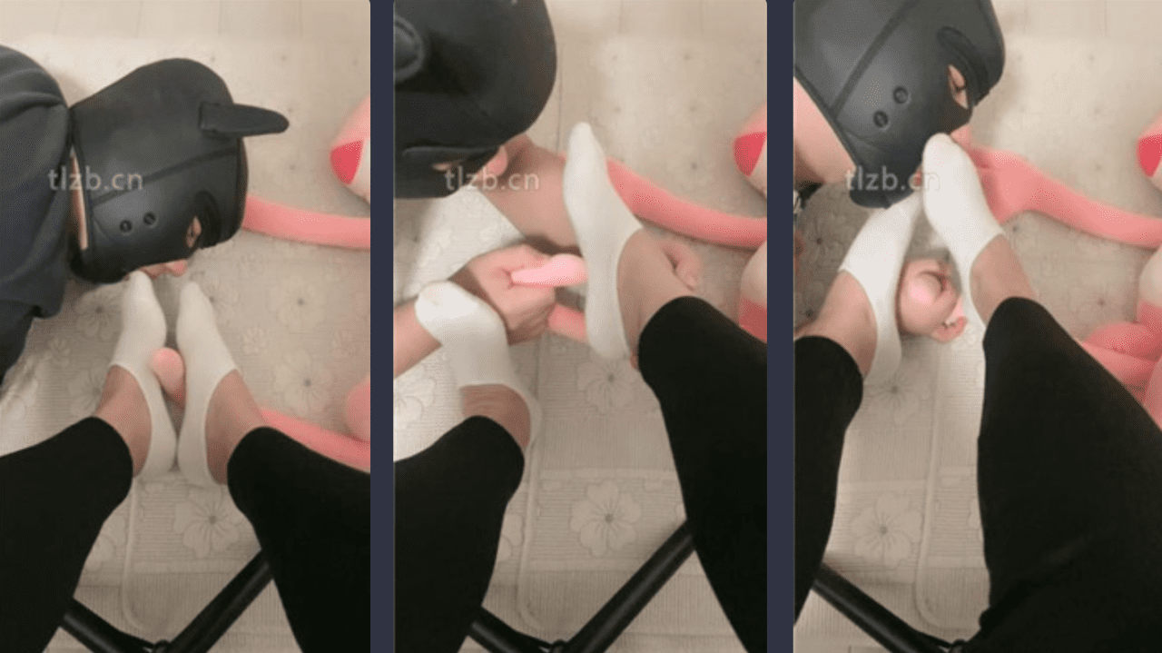 Top | Original boat socks ravage dog slave