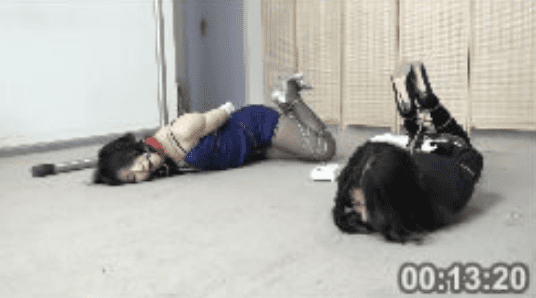 逍遥 | 猎美陷阱 等待救援的驷马放置