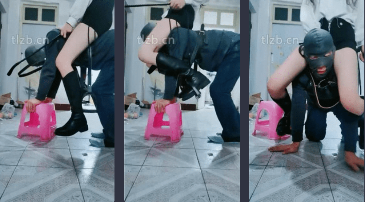 Gummy | Horse riding/Canine crawling