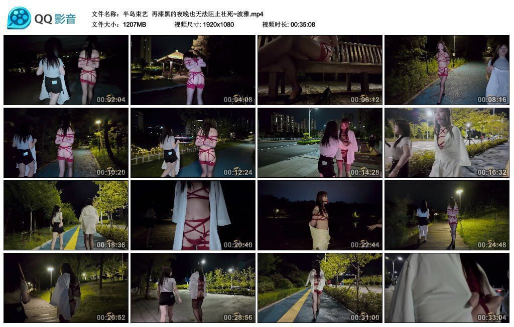 半岛束艺 | 再漆黑的夜晚也无法阻止社死 波雅的户外露出调教-视频截图