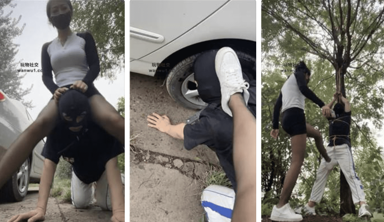 喵主 | 户外虐狗/小白鞋黑丝踩虐/吊绑踢踹