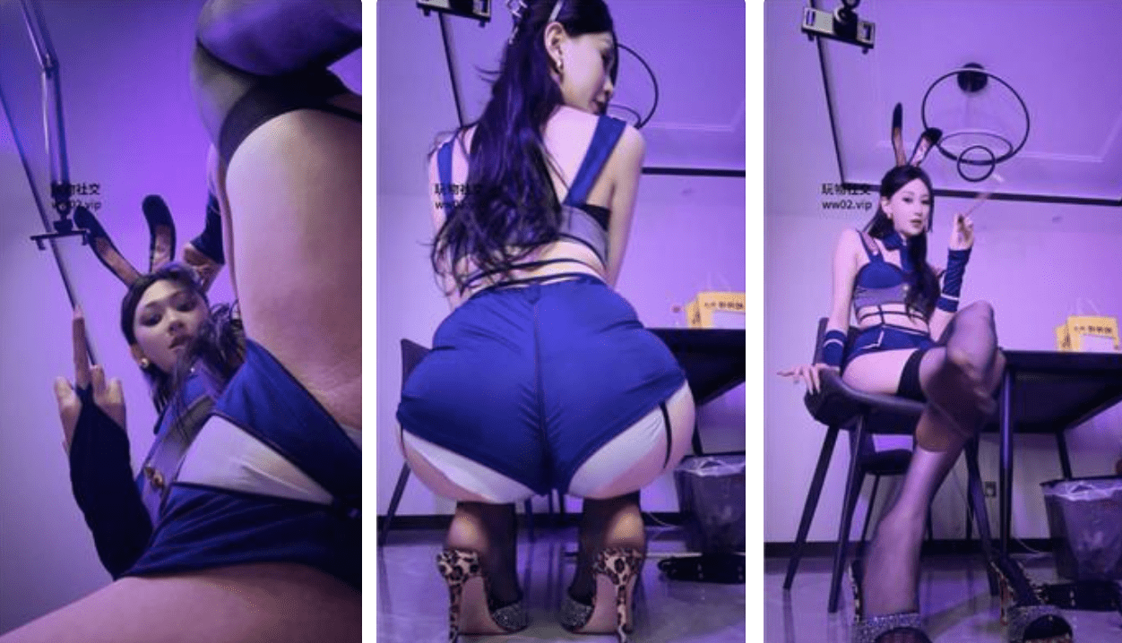 艾琳175 | 兔子女警深夜调戏