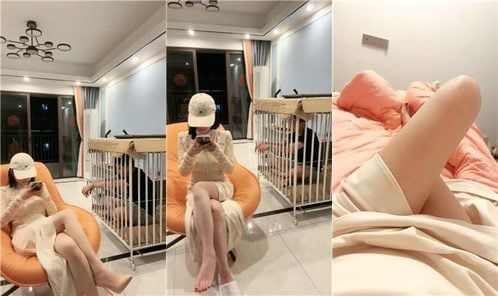 Dai Ying | Imprisoned in a dog cage, live streaming with her owner