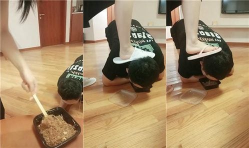 王妃 | 高跟脚下喂食圈养犬