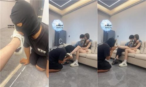 白鹭 | 情侣主 绿帽是最贱的犬种