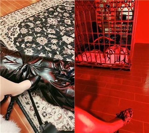 飼育繁殖基地 |拘束衣 犬 檻 監禁
