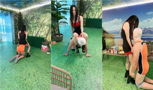 红焱 | 骑马sp狗爬驯化 坐脸窒息 短靴踩