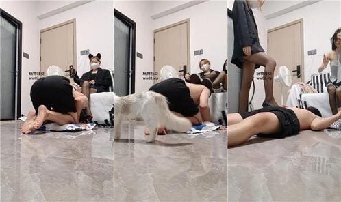 阳阳 | 双S精神小妹全体重跳踩
