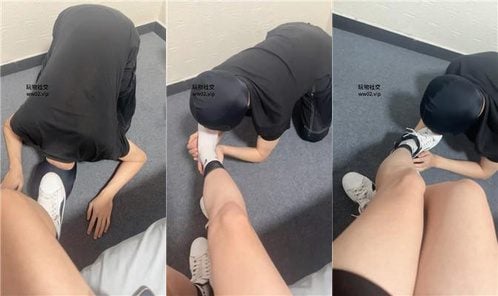 Dog brother | Licking and smelling shoes and socks after exercise, stuffing socks into mouth, trampling, sitting on face and suffocating