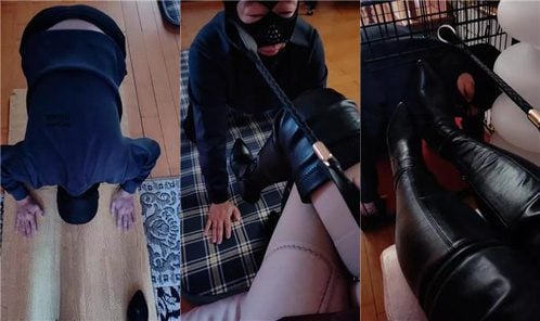魔鬼天使 | 舔脏长靴 关狗笼 鞭打 肉丝脚捂脸 内裤套头
