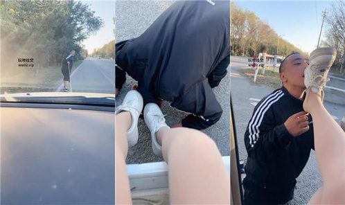 喵主 | 户外 活埋跟踪狂
