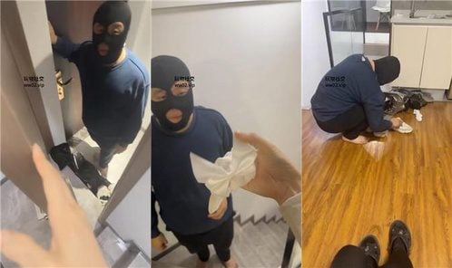 倪小主 | 喜欢原味袜子的邻居狗