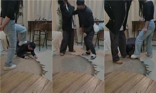 Da猫 | 双S 房东收租被姐妹花暴揍 三视角版