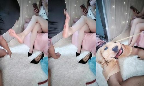 柠檬S | 舔不好脚就重度sp鞭打