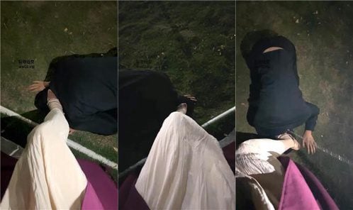 绵绵 | 深夜户外遛狗恋足舔
