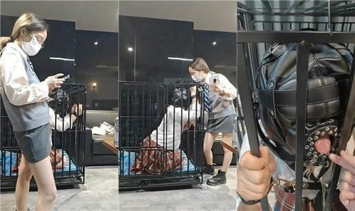トラ様 |犬の檻、監禁、足での餌やり、鞭打ち、ヘッドギア、窒息、くすぐり