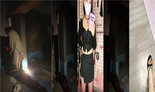 双视角 | 奶油米御姐姐调教贱狗捆绑如木乃伊