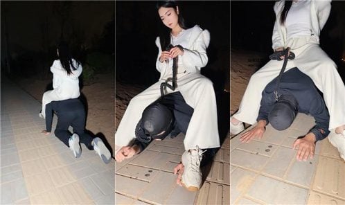 泡泡 | 户外骑马犬化 吃口水 全体重踩踏