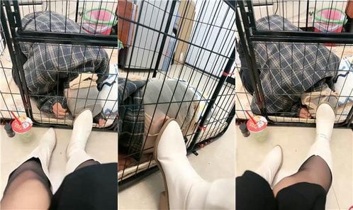 佳佳 | 圈养狗笼 圣水泡面 高跟黑丝踩虐
